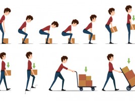 Manual Handling - म्यानुअल हैंडलिंग image